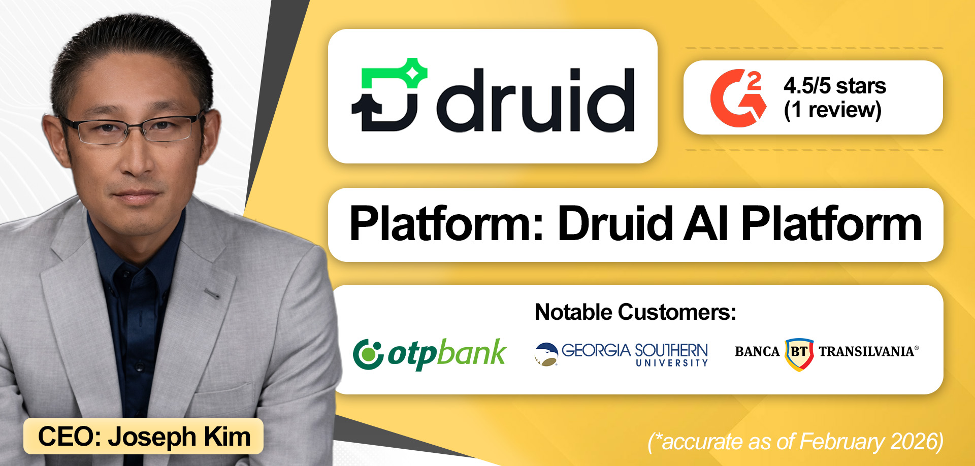 An overview of Druid AI