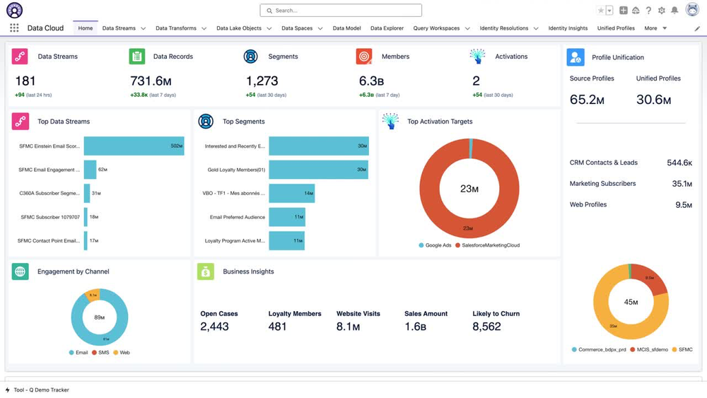 Salesforce-Data-Cloud